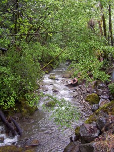 stevens Creek