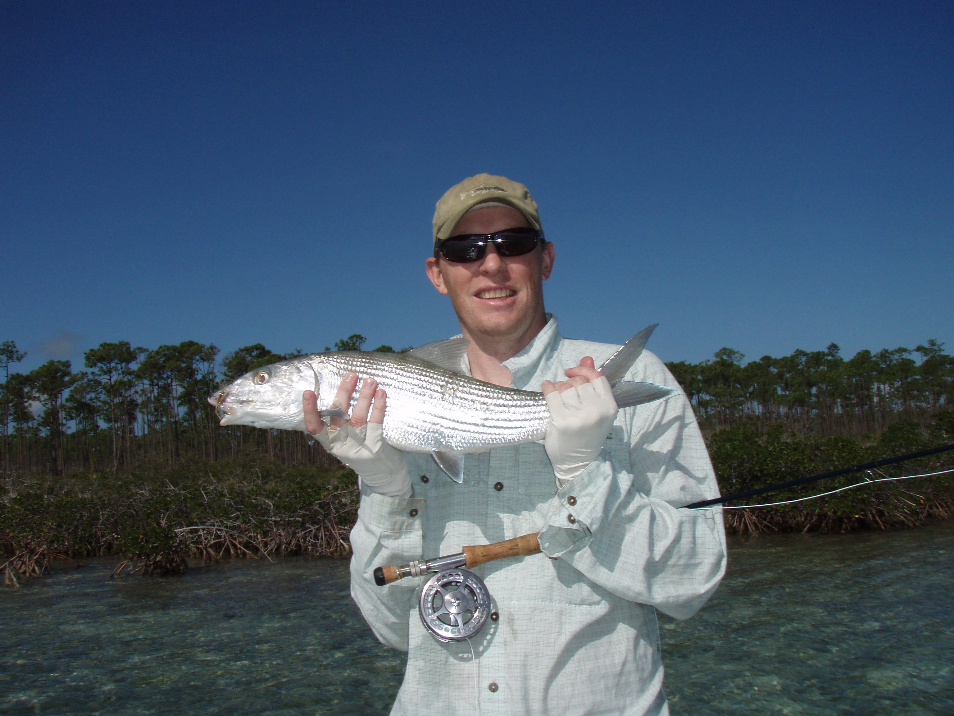Bonefish vs. Sharks (and cudas) Bonefish on the Brain
