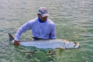 Paul F tarpon