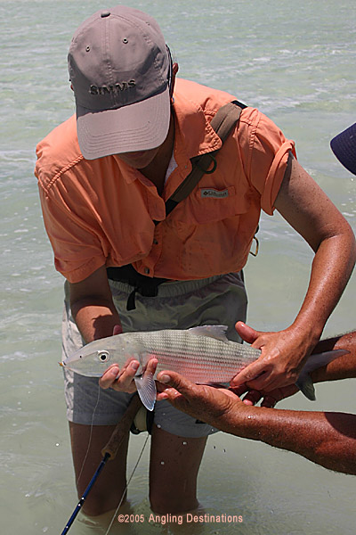 A Long Island Bonefish from a previous Angling Destinations trip.