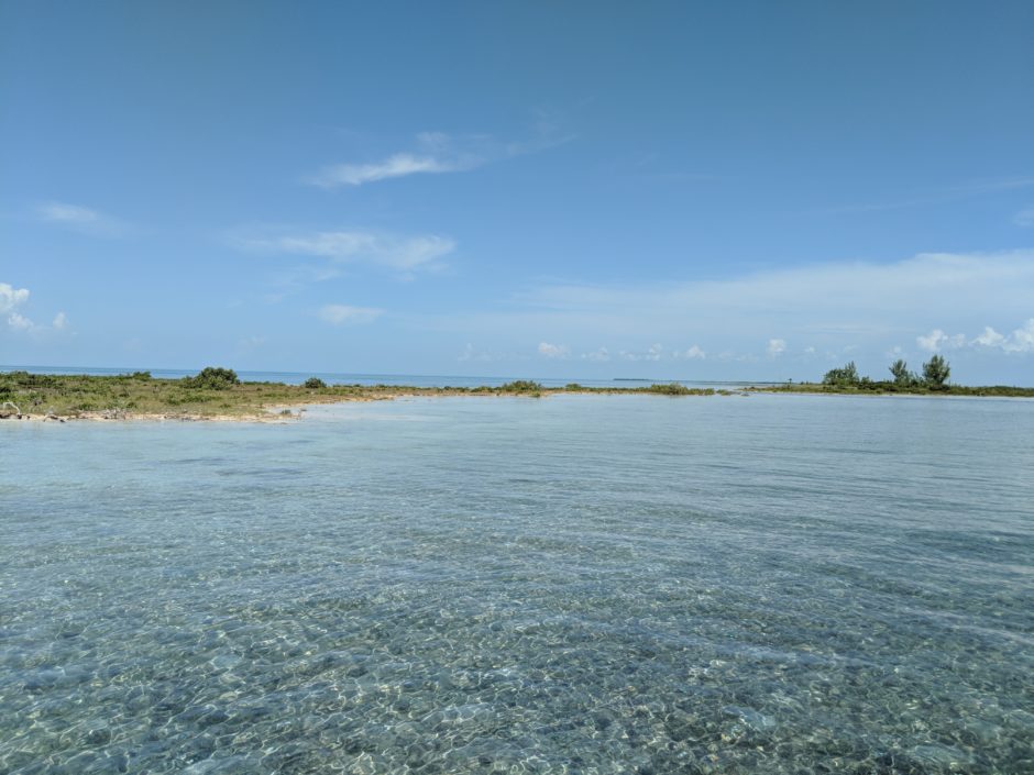 bonefish | Bonefish on the Brain